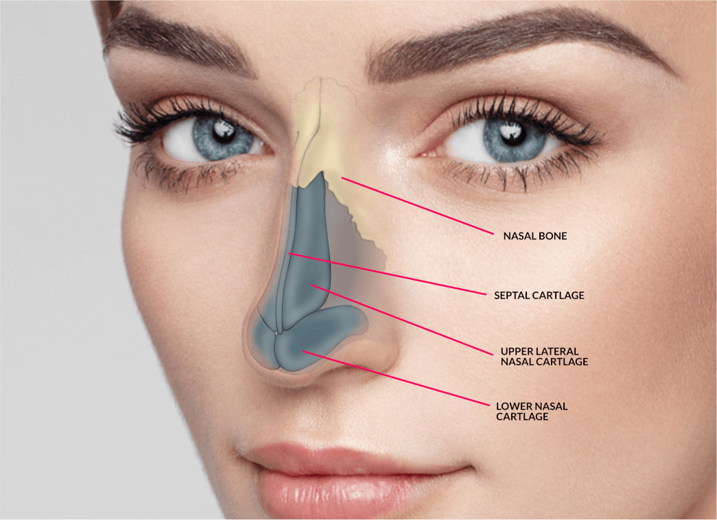 Rhinoplasty Albania